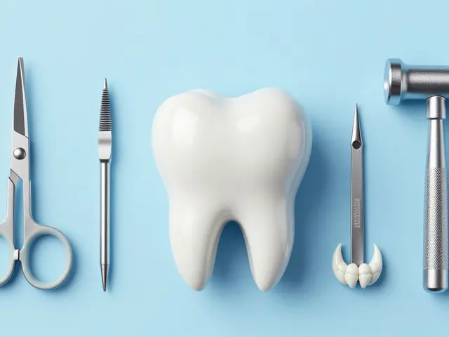 Základní typy zubů a jejich funkce: Průvodce pro zdravý úsměv